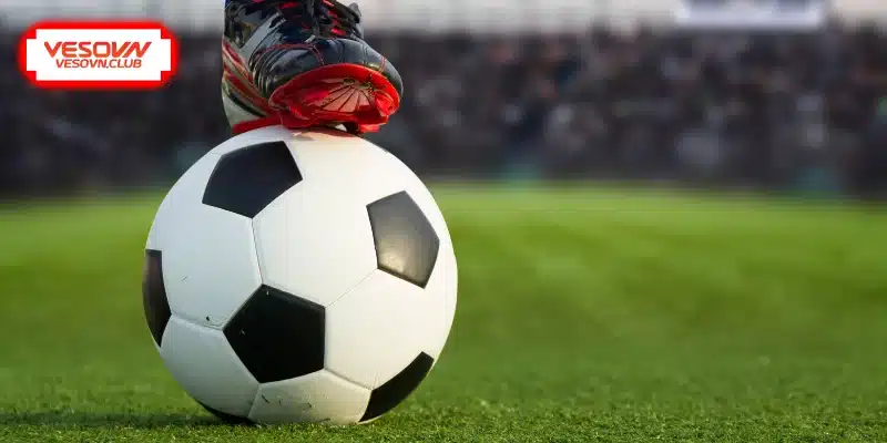 Bí quyết dự đoán kết quả trận đấu hay