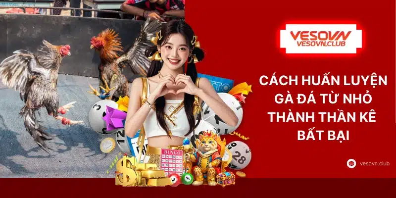Cách Huấn Luyện Gà Đá Từ Nhỏ Thành Thần Kê Bất Bại