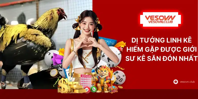 Dị Tướng Linh Kê Hiếm Gặp Được Giới Sư Kê Săn Đón Nhất