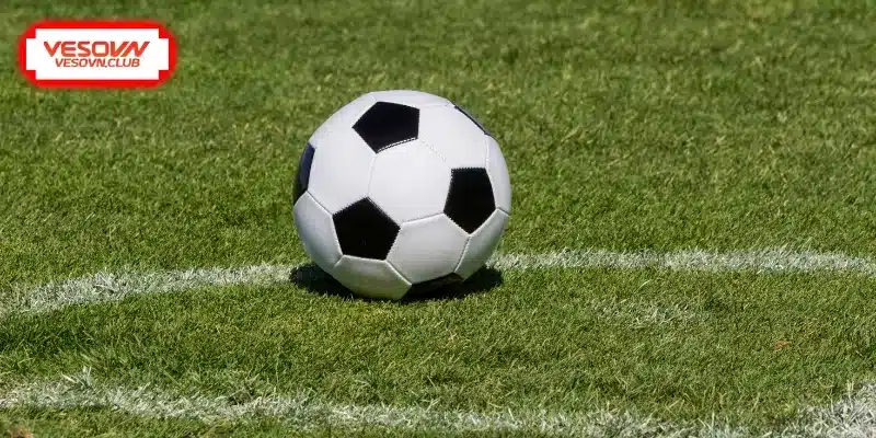 Kiến thức cơ bản về loại hình cược 1X2