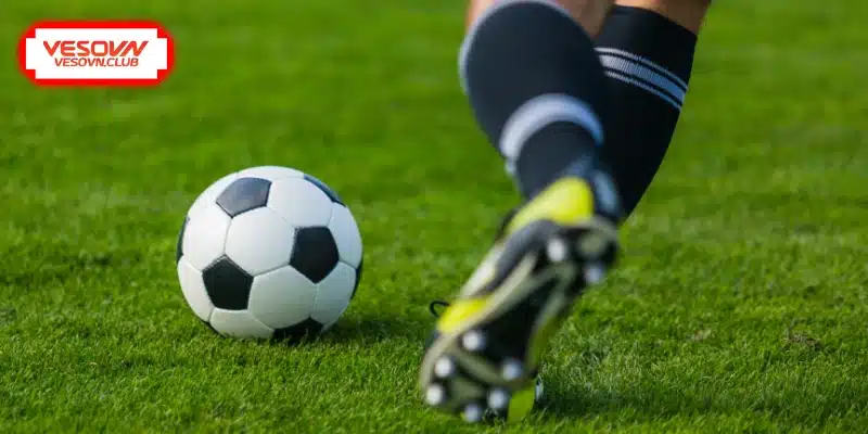 Tổng quan sức hút của kèo tài xỉu